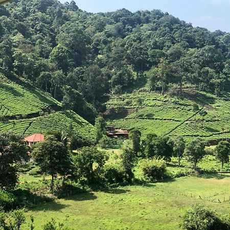Janiro Tea Trees Villas Vythiri Luaran gambar