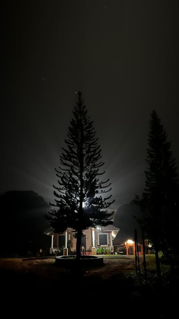 Janiro Tea Trees Villas Vythiri Luaran gambar