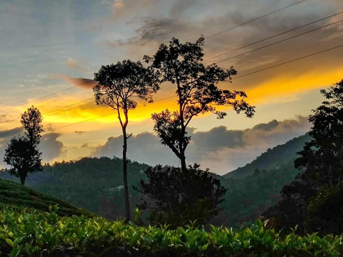 Janiro Tea Trees Villas Vythiri Luaran gambar