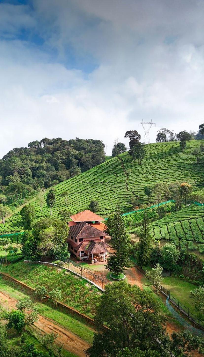 Janiro Tea Trees Villas Vythiri Luaran gambar