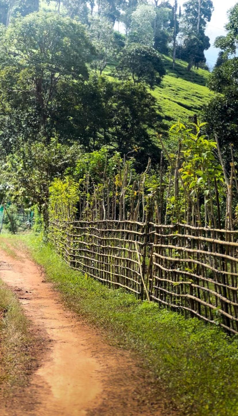 Janiro Tea Trees Villas Vythiri Luaran gambar