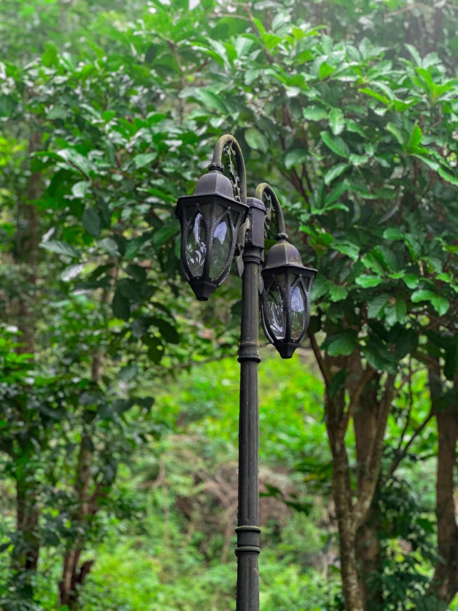 Janiro Tea Trees Villas Vythiri Luaran gambar