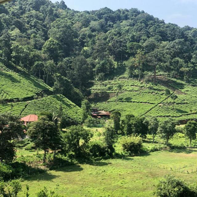 Janiro Tea Trees Villas Vythiri Luaran gambar