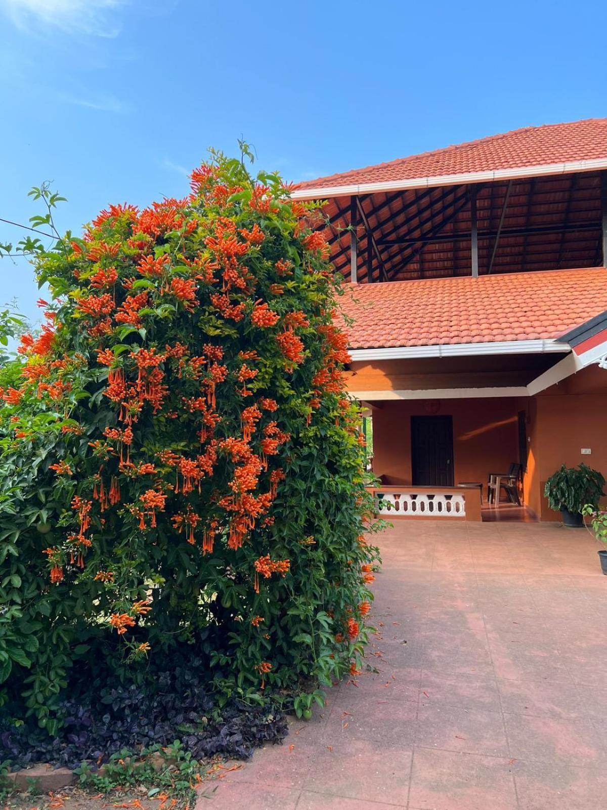 Janiro Tea Trees Villas Vythiri Luaran gambar